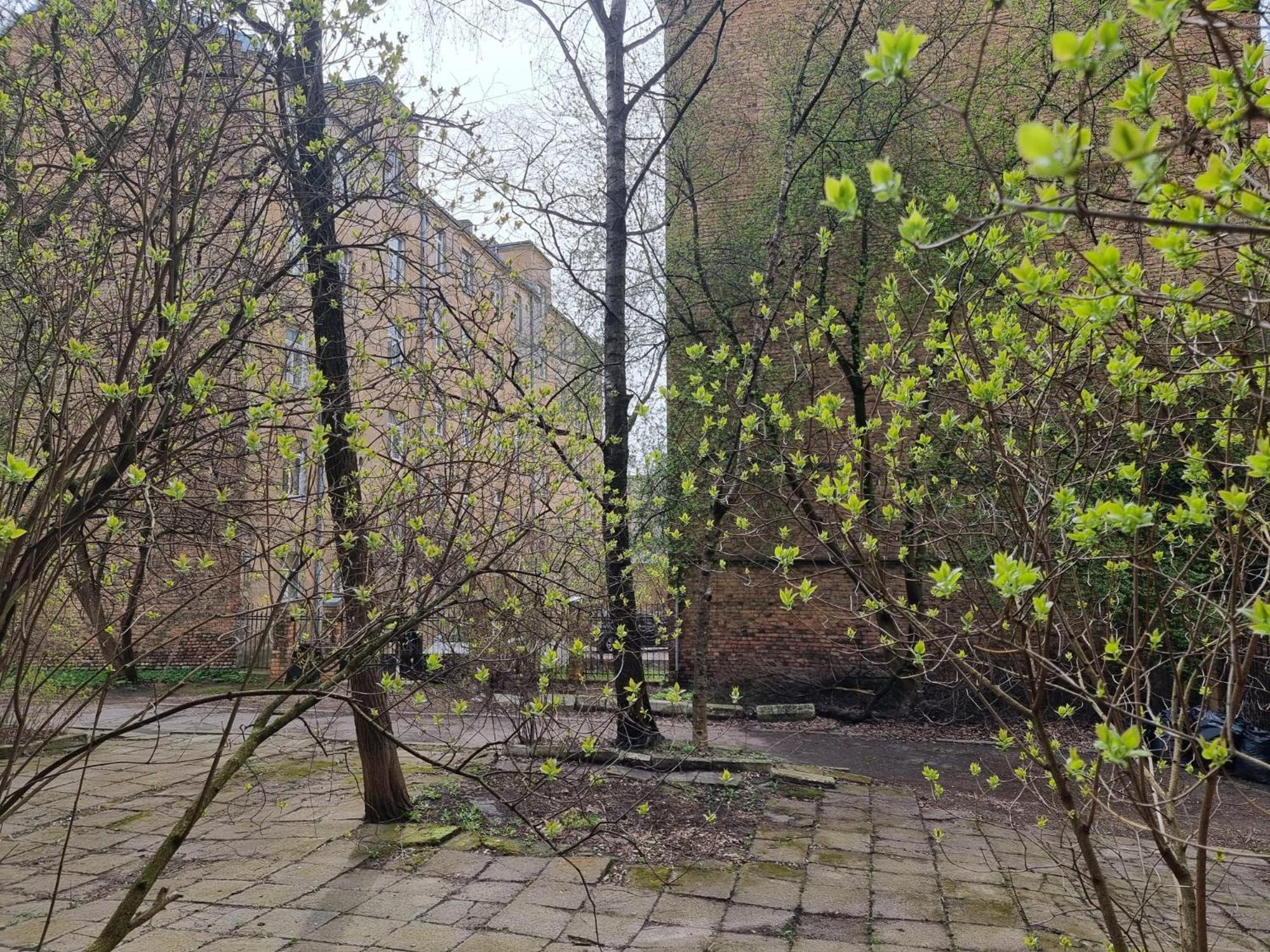 City Inn Riga Apartment, New Renovated In Quiet Center With Balcony With Parking Экстерьер фото